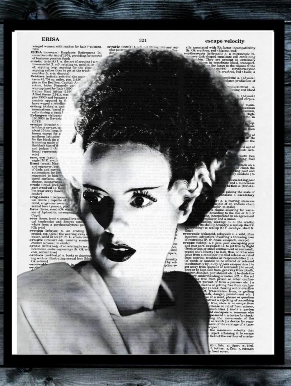 Frankenstein Bride Vintage Art Photography on Dictionary Book Page Halloween Art